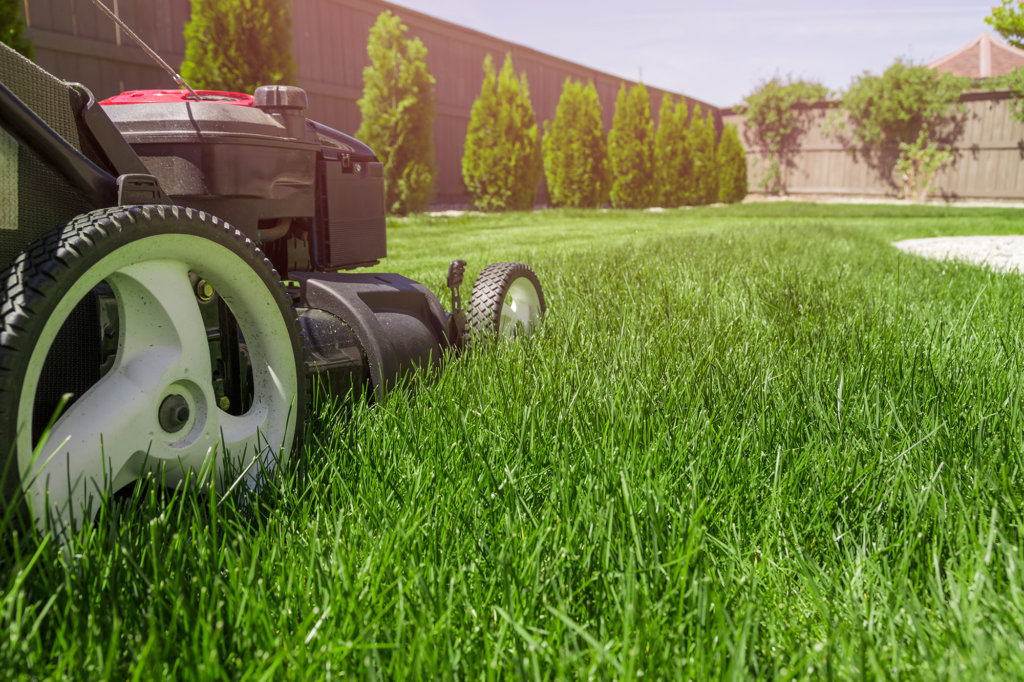 Landscaping Toronto